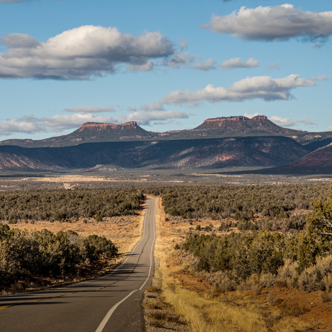 FT25RM4. Geology of Bears Ears National Monument