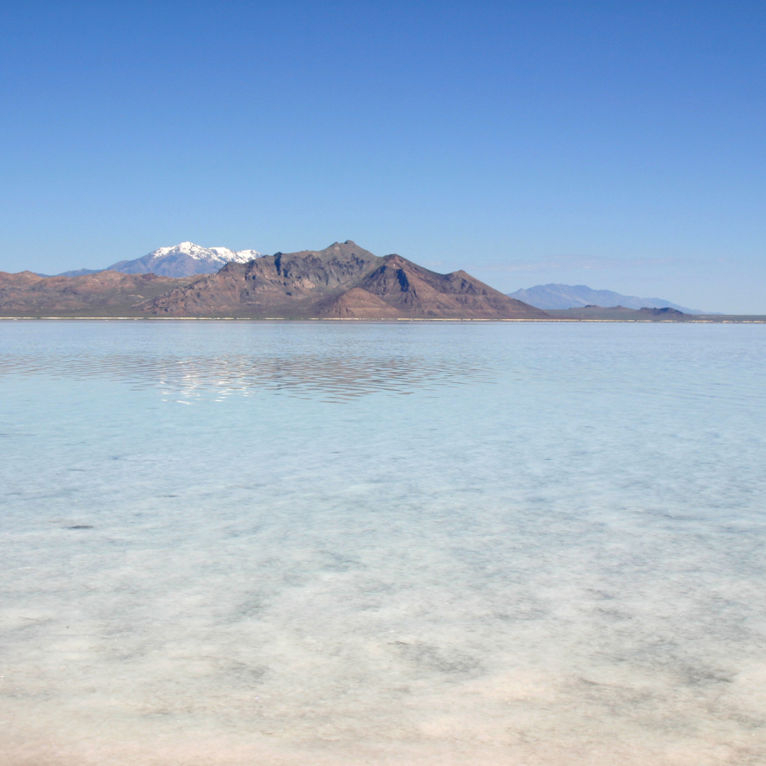 FT25RM6. A Field Trip to Observe Features of Lake Bonneville