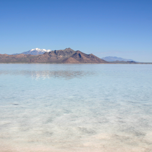 FT25RM6. A Field Trip to Observe Features of Lake Bonneville