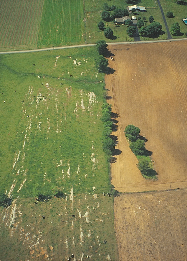 Aerial view of limestone pinnacles in a field, Maryland