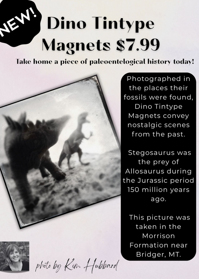 A flyer that reads "photographed in the places their fossils were found, Dino Tintype magnets convey nostalgic scenes from the past....." 