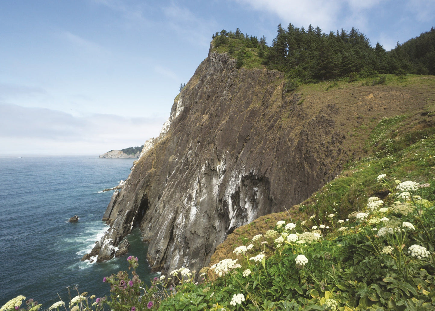View from the top of Neahkanhie Mountain, Oregon, with the ocean beneath the cliffs 