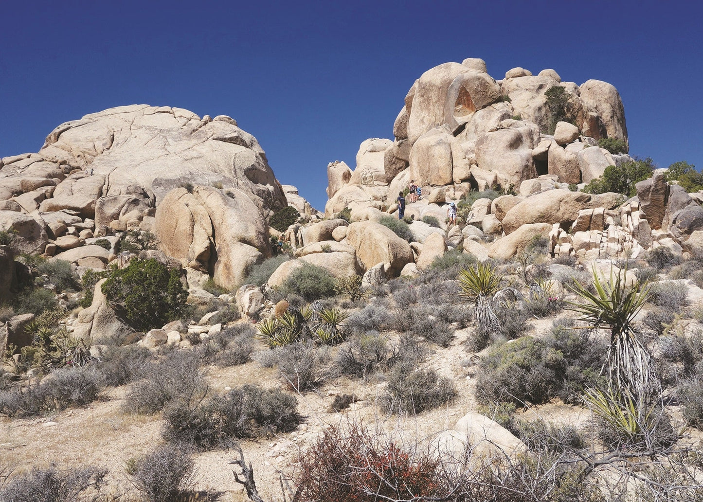 Granite typically fractures and then decomposes by chemical weathering into boulder piles like these in the Granite Mountains near Kelso Dunes, California 