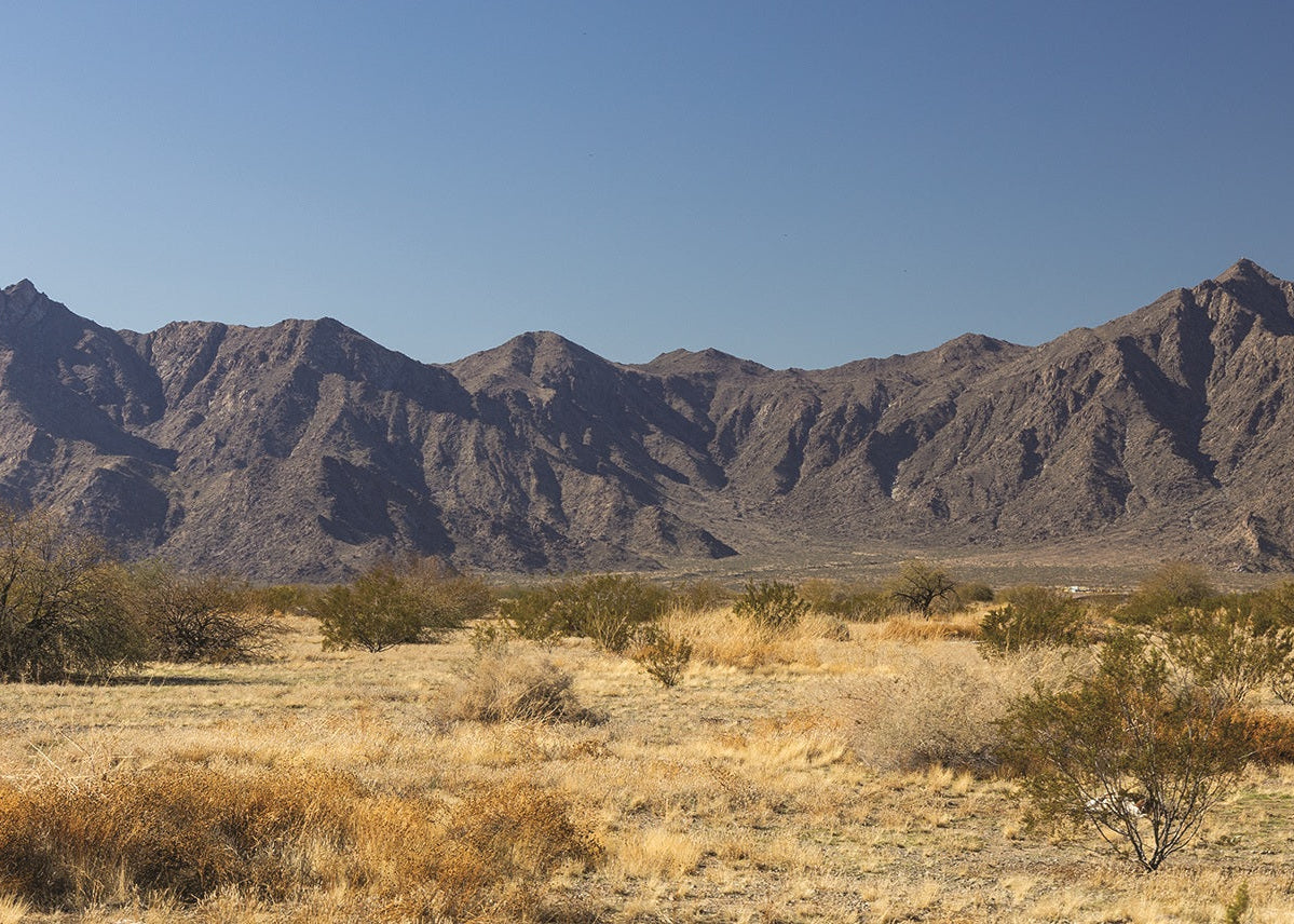Sierra Estrella, Arizona, USA