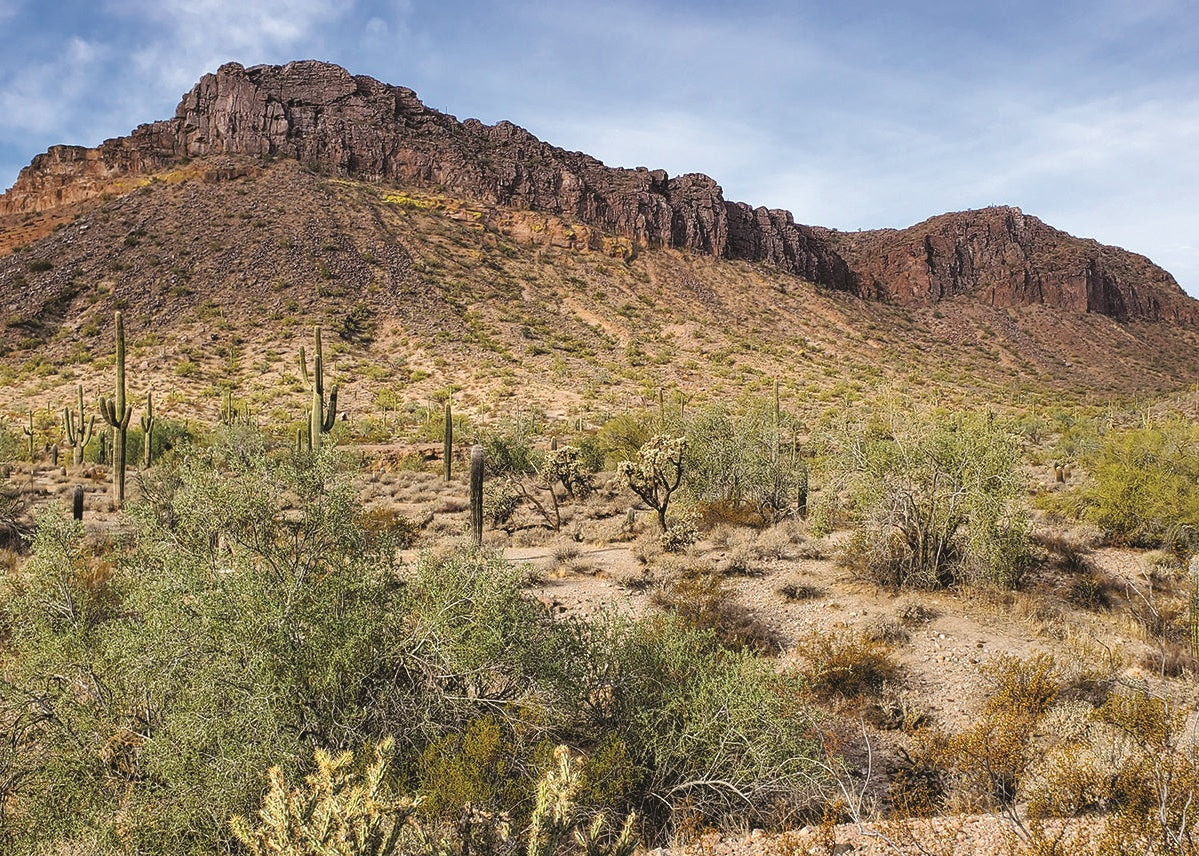 Apache Leap Tuff, southern San Tan Mountains, Arizona, USA
