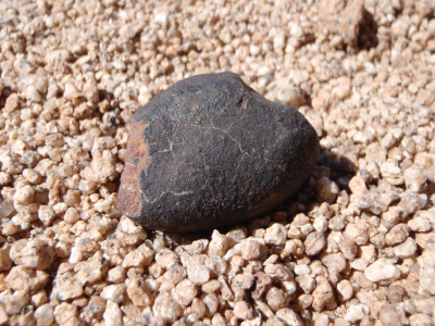 Meteorite with thin, dark, fusion crust