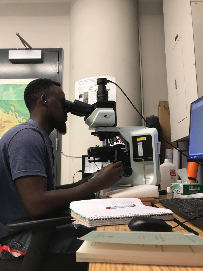analyzing diatoms