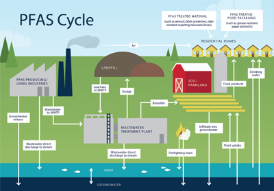 Diagram showing the storage and transport of PFAS in various terrestrial ecosystems including natural and anthropogenic influences