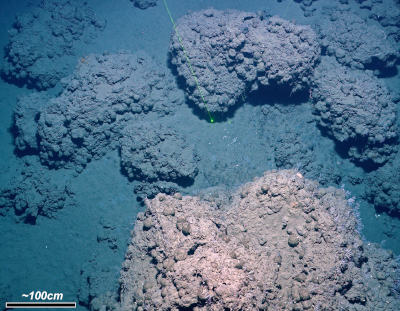 Grayish-pink, lumpy rocks are visible through clear dark blue water of the Barents Sea, with fine gray silt coating the seafloor and parts of the carbonate rocks. A green laser cuts through the scene.