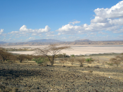 Overview of Lake Magadi from the western shore