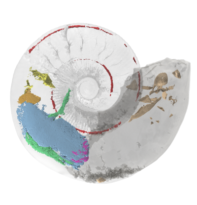 Cherns 3D Ammonite